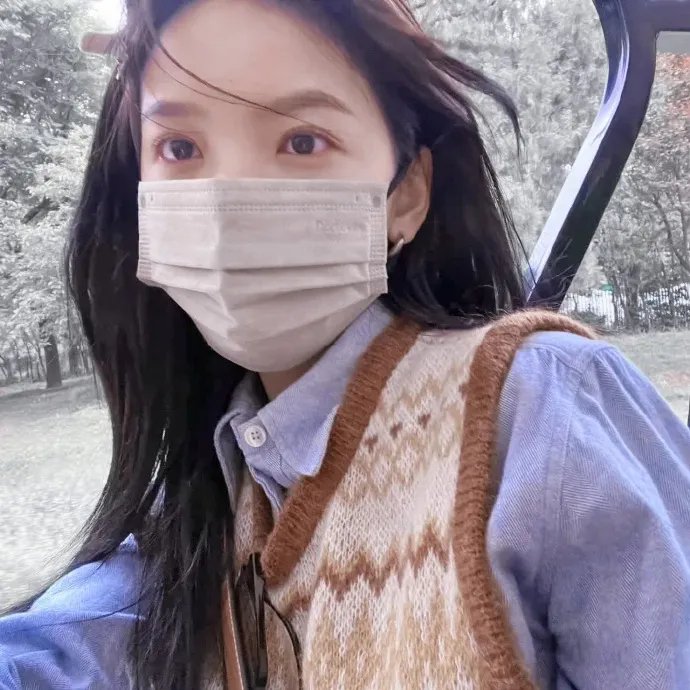 知否知否却道海棠依旧