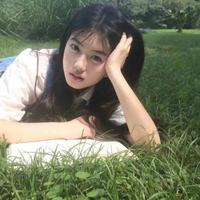 金刚斗恐龙